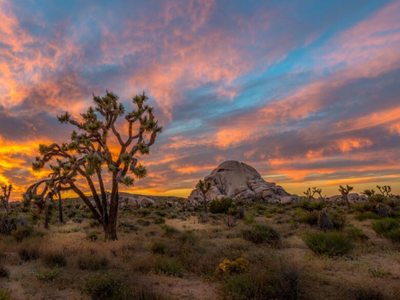 Sunset-780x585